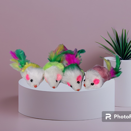 Feather-Tail Mouse (2 pack)