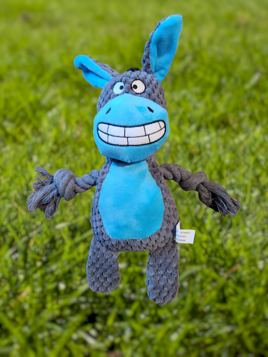 Donkey