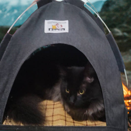 Cat Tent