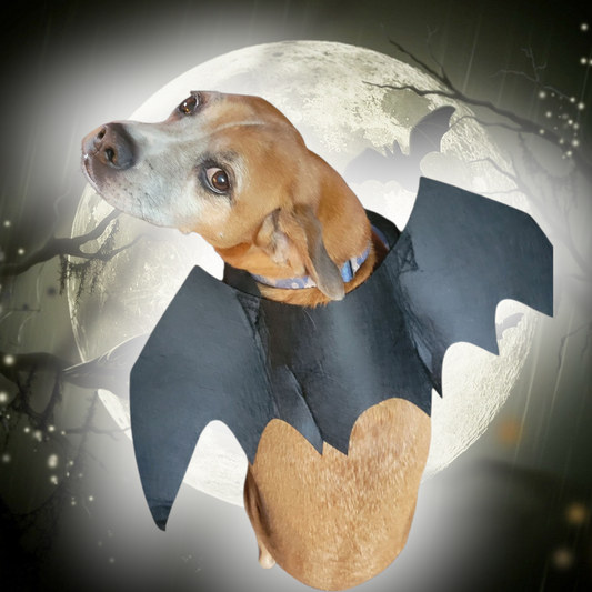 Bat Wings Harness