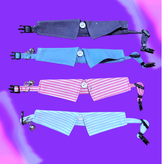 Button Shirt Collar