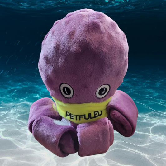 Octopus Foraging Toy